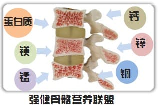 強(qiáng)健骨骼.jpg